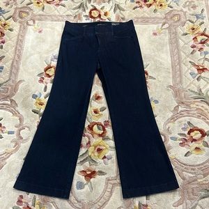 NWT Blue Jean Trousers